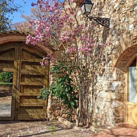 مونتبلانك Serra De Prades المظهر الخارجي الصورة